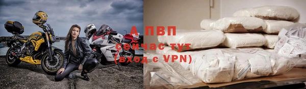шишки Волоколамск