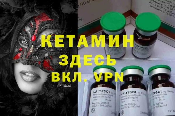 сатива Володарск