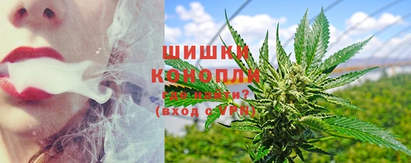 шишки Волоколамск