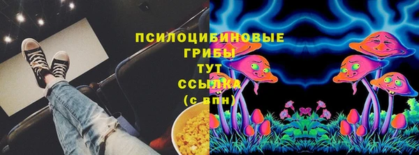шишки Волоколамск